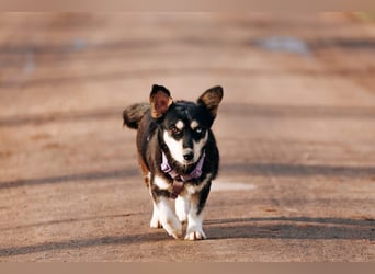 Traumhaft schöne Ketty ❤️ sucht ihre Herzensmenschen