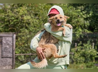 Zaria ❤️ kleine, freundliche Hündin sucht ihr Zuhause