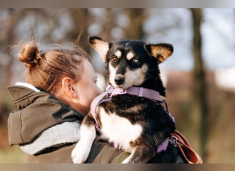 Traumhaft schöne Ketty ❤️ sucht ihre Herzensmenschen