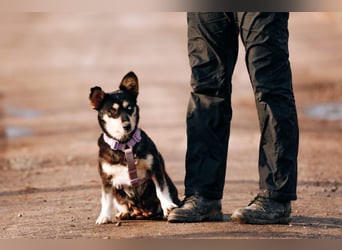 Traumhaft schöne Ketty ❤️ sucht ihre Herzensmenschen