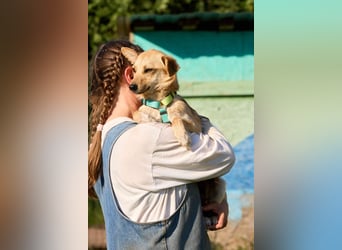 Kuschelige und lernbereite Tasia ❤️ sucht ein passendes Zuhause
