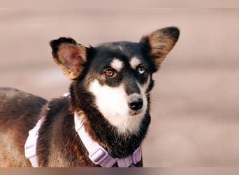 Traumhaft schöne Ketty ❤️ sucht ihre Herzensmenschen