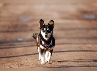 Traumhaft schöne Ketty ❤️ sucht ihre Herzensmenschen