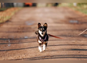 Traumhaft schöne Ketty ❤️ sucht ihre Herzensmenschen