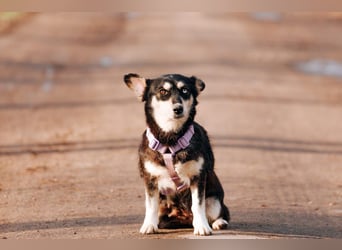 Traumhaft schöne Ketty ❤️ sucht ihre Herzensmenschen