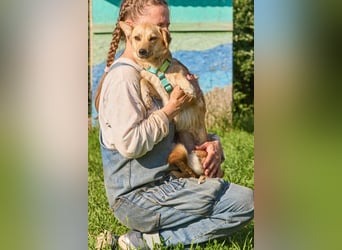 Kuschelige und lernbereite Tasia ❤️ sucht ein passendes Zuhause