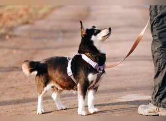 Traumhaft schöne Ketty ❤️ sucht ihre Herzensmenschen