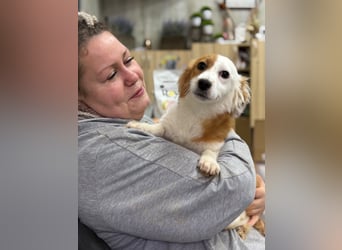 Volna ❤️ kleine Kämpferin mit großem Herzen sucht ihre Herzensmenschen