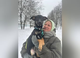 Lari ❤️ fröhliche Junghündin sucht Menschen zum Liebhaben