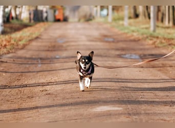 Traumhaft schöne Ketty ❤️ sucht ihre Herzensmenschen