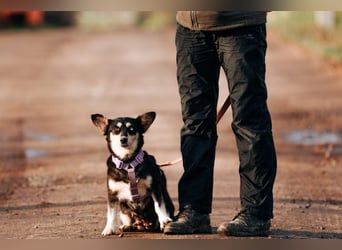 Traumhaft schöne Ketty ❤️ sucht ihre Herzensmenschen