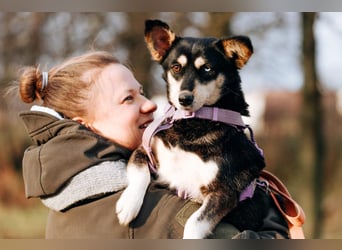 Traumhaft schöne Ketty ❤️ sucht ihre Herzensmenschen