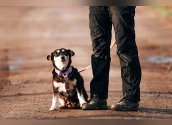 Traumhaft schöne Ketty ❤️ sucht ihre Herzensmenschen
