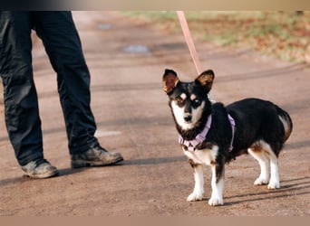 Traumhaft schöne Ketty ❤️ sucht ihre Herzensmenschen