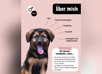 Kleiner Mogli