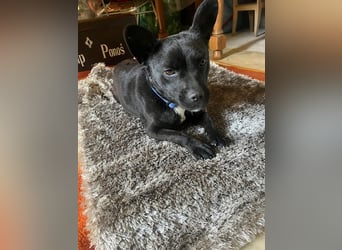 PENi sucht ihre ❤️-menschen