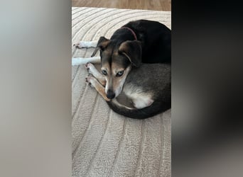 Menschenbezogene RONJA sucht perfect match ❤️