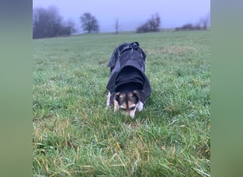 Menschenbezogene RONJA sucht perfect match ❤️