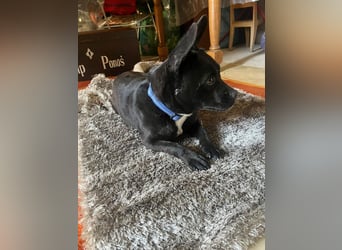 PENi sucht ihre ❤️-menschen