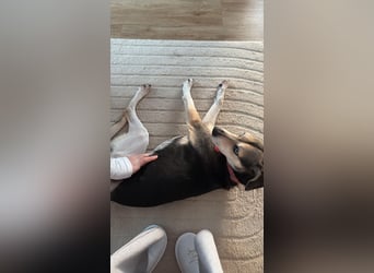 Menschenbezogene RONJA sucht perfect match ❤️