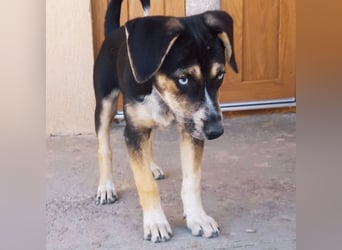 Menschenbezogene RONJA sucht perfect match ❤️