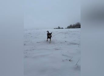 Menschenbezogene RONJA sucht perfect match ❤️