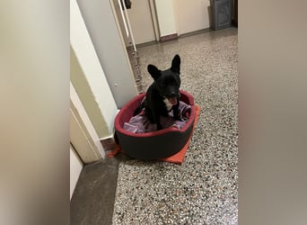 PENi sucht ihre ❤️-menschen