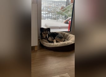 Menschenbezogene RONJA sucht perfect match ❤️