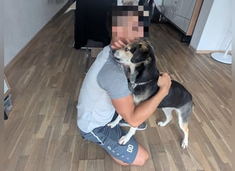 Menschenbezogene RONJA sucht perfect match ❤️