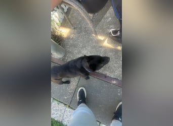 PENi sucht ihre ❤️-menschen
