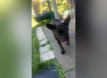 PENi sucht ihre ❤️-menschen