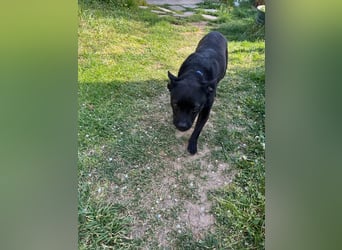 PENi sucht ihre ❤️-menschen