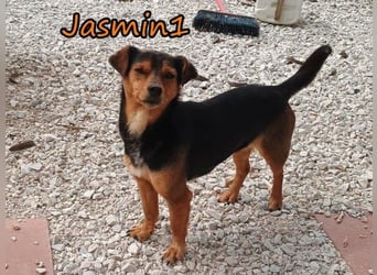 Jasmin1 geb. 08/2022 (GRC) - kleines Mädchen sucht ihre Familie!