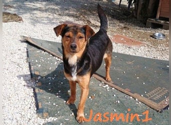 Jasmin1 geb. 08/2022 (GRC) - kleines Mädchen sucht ihre Familie!