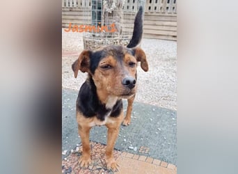 Jasmin1 geb. 08/2022 (GRC) - kleines Mädchen sucht ihre Familie!