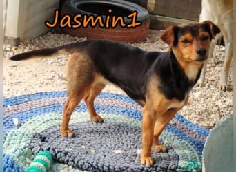 Jasmin1 geb. 08/2022 (GRC) - kleines Mädchen sucht ihre Familie!