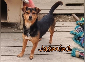 Jasmin1 geb. 08/2022 (GRC) - kleines Mädchen sucht ihre Familie!