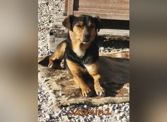 Jasmin1 geb. 08/2022 (GRC) - kleines Mädchen sucht ihre Familie!