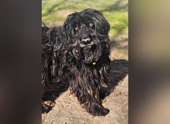 Bennet hat einen sensiblen Charakter