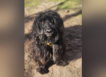 Bennet hat einen sensiblen Charakter