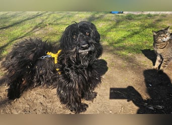 Bennet hat einen sensiblen Charakter