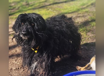 Bennet hat einen sensiblen Charakter