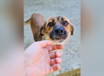 Wirbelwind MILLIE will dein Leben auf den Kopf stellen