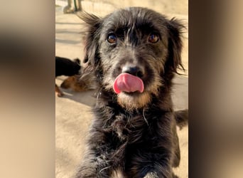 RAMONA ihr fehlt nur eines ihre eigene Familie