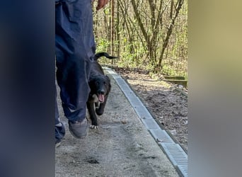 Treue KALEA möchte noch so viel lernen - hilfst du ihr dabei?