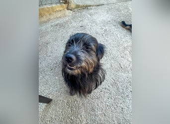 RAMONA wünscht sich ein sicheres Zuhause, indem sie endlich ankommen kann