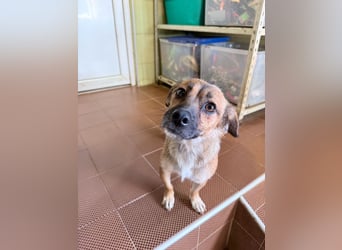 Schleckermaul MILLIE sucht nach ihren eigenen Leckerlispendern