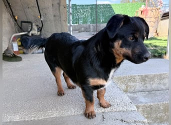 kleine Prinzessin ROXANA sucht ihr Königreich