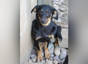 Kuckuck ich bin die niedliche SMILLA2025