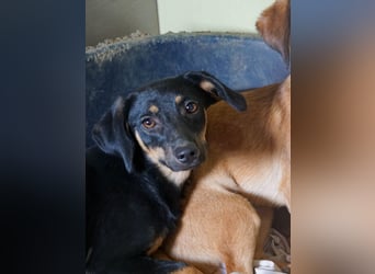 Kuckuck ich bin die niedliche SMILLA2025